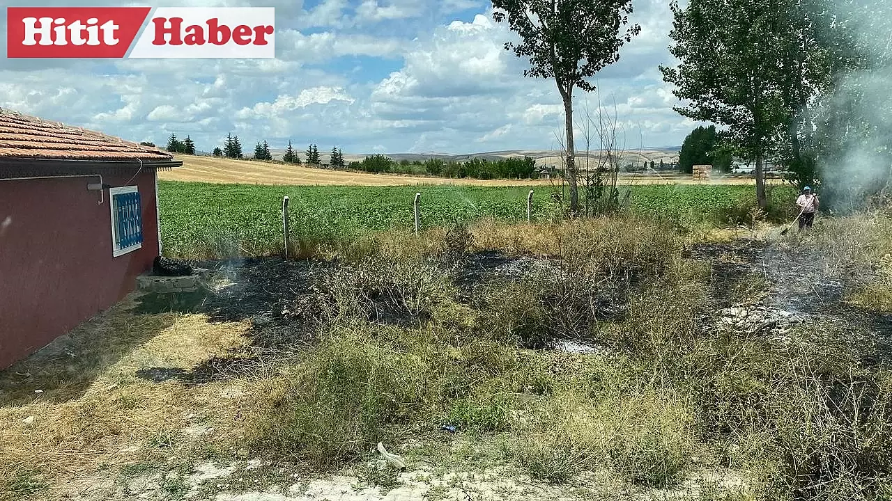 Alaca'da Boş Arsada Çıkan Yangın Evlere Sıçramadan Söndürüldü