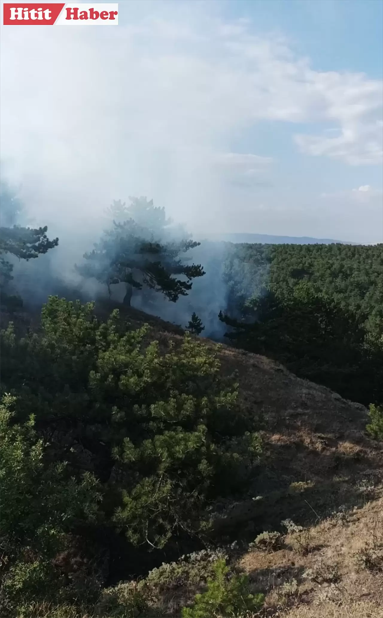 Ormanlık Alanda Çıkan Yangın Korkuttu