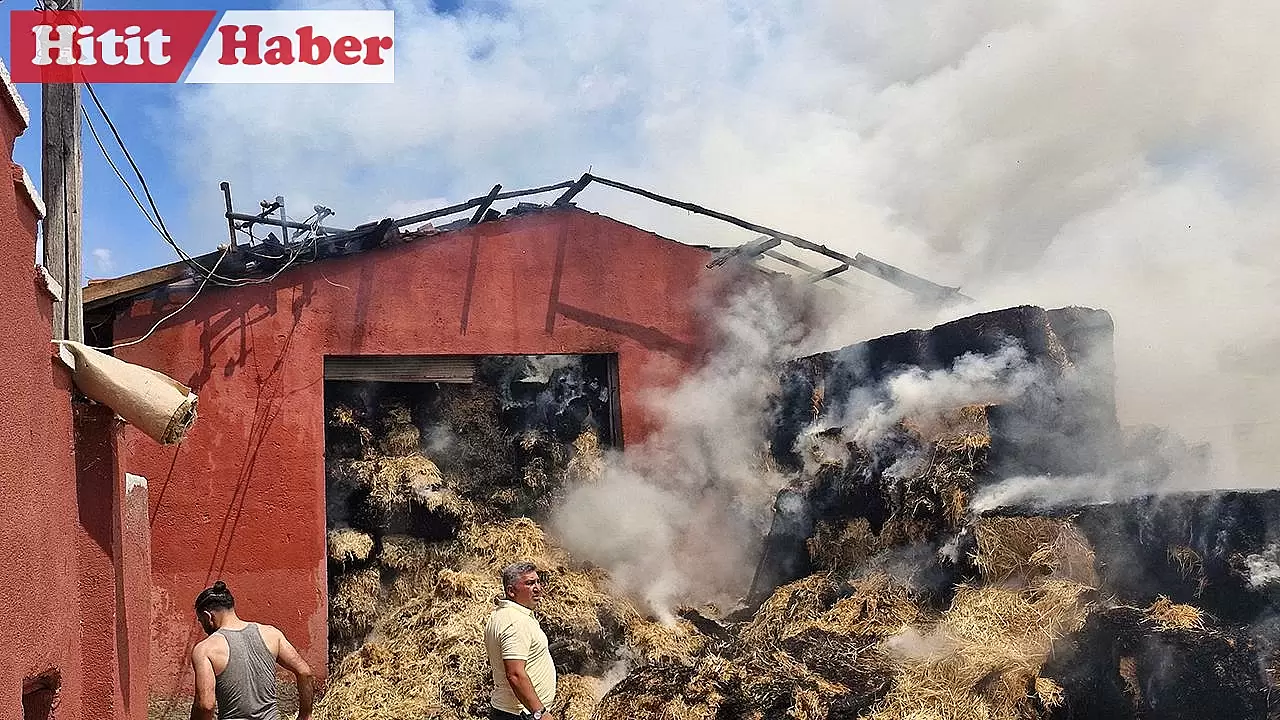 3 Bin Adet Saman Balyası Çıkan Yangında Kül Oldu