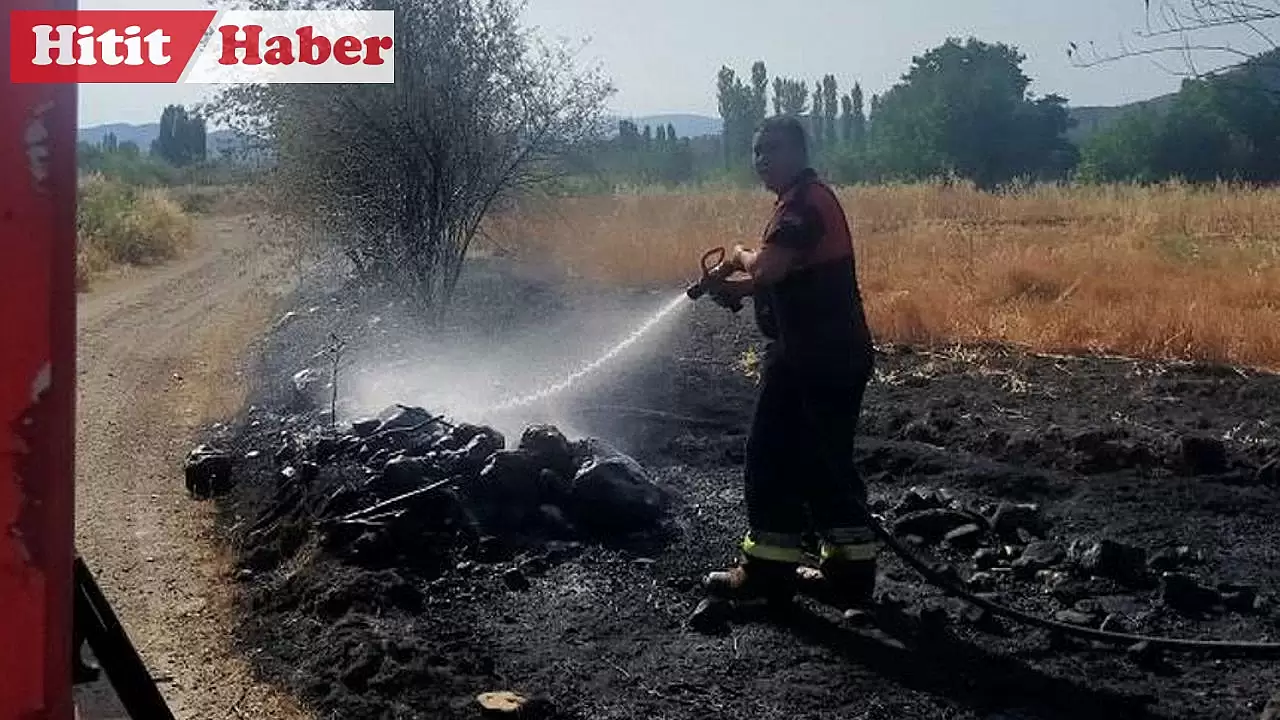 Osmancık'ta Akören Köyü'nde Çıkan Örtü Yangınında Birçok Ağaç Zarar Gördü