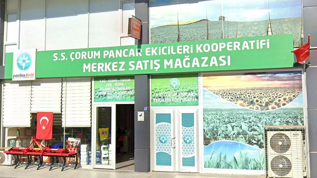 Çorum Pancar Kooperatif Başkanı: Şekerpancarı Üreticileri 2024'te 2.800 TL Fiyat Bekliyor