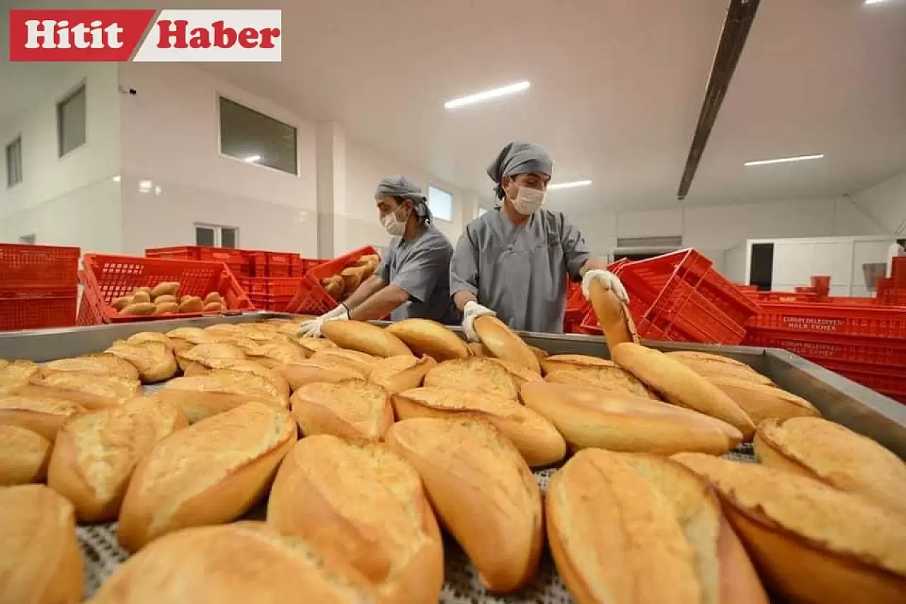 Çorum'da Halk Ekmek Fabrikası Hijyen ve Kaliteyi Ön Planda Tutuyor