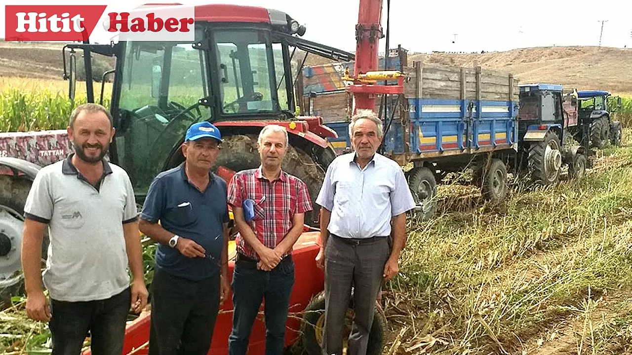 Çorum'da 2024 Yılı Yem Bitkileri Destekleri Kapsamında Arazi Kontrolleri Gerçekleştirildi