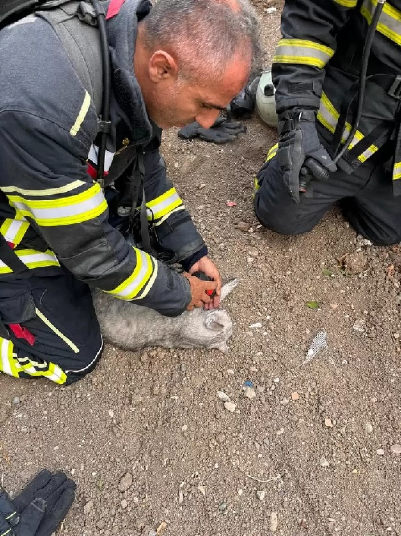 Çorum'da Yangından Kurtarılan Kedi İtfaiye Ekiplerinin Müdahalesiyle Hayata Döndü