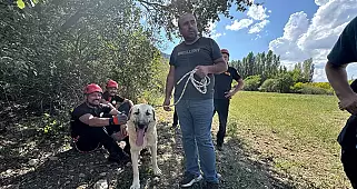 Çorum İtfaiye Müdürlüğü Ekipleri Kayalıklarda Mahsur Kalan Köpeği Kurtardı