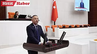 Çorum Milletvekili Mehmet Tahtasız Sağlık Bakanına Çorum'un Sağlık Sorunlarını İletti