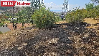 Çorum'un Bayat ilçesindeki Orman Yangını Hızlı Müdahale ile Önlemlendi