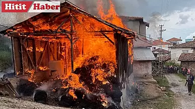 Çorum'da Dodurga İlçesinde Çıkan Yangında 2 Ev ve Samanlık Zarar Gördü