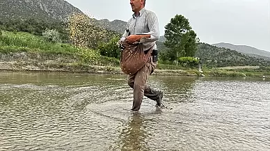 Çorum'un Osmancık ve Kargı ilçelerinde çeltik sezonu başladı