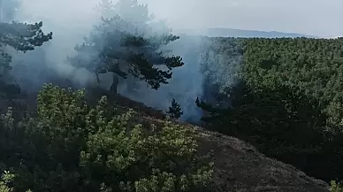 Ormanlık Alanda Çıkan Yangın Korkuttu