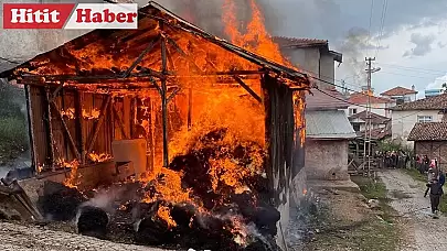 Çorum'da Dodurga İlçesinde Çıkan Yangında 2 Ev ve Samanlık Zarar Gördü