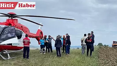 Çorum'da Mantar Toplamaya Giden Yaşlı Kadın 16 Saatlik Çalışma Sonucu Kurtarıldı