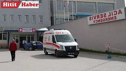 Çorum'un Bayat ilçesinde traktör devrildi: 2 ölü, 1 yaralı!