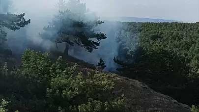 Ormanlık Alanda Çıkan Yangın Korkuttu