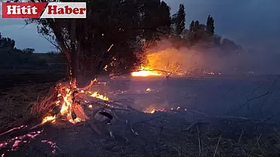 İskilip'te Elektrik Telllerinden Çıkan Kıvılcımlar Tarım Arazi Yangınına Yol Açtı