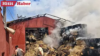 3 Bin Adet Saman Balyası Çıkan Yangında Kül Oldu