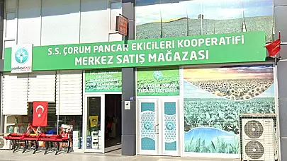 Çorum Pancar Kooperatif Başkanı: Şekerpancarı Üreticileri 2024'te 2.800 TL Fiyat Bekliyor