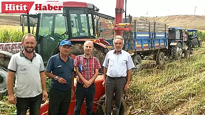 Çorum'da 2024 Yılı Yem Bitkileri Destekleri Kapsamında Arazi Kontrolleri Gerçekleştirildi