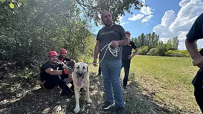 Çorum İtfaiye Müdürlüğü Ekipleri Kayalıklarda Mahsur Kalan Köpeği Kurtardı