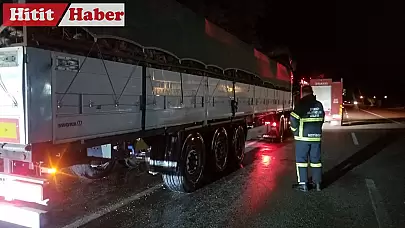 Çorum'un Alaca ilçesinde seyir halindeki tırın balatalarındaki dumanlar paniğe yol açtı