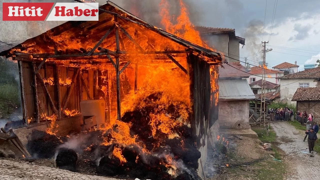 Çorum'da Dodurga İlçesinde Çıkan Yangında 2 Ev ve Samanlık Zarar Gördü