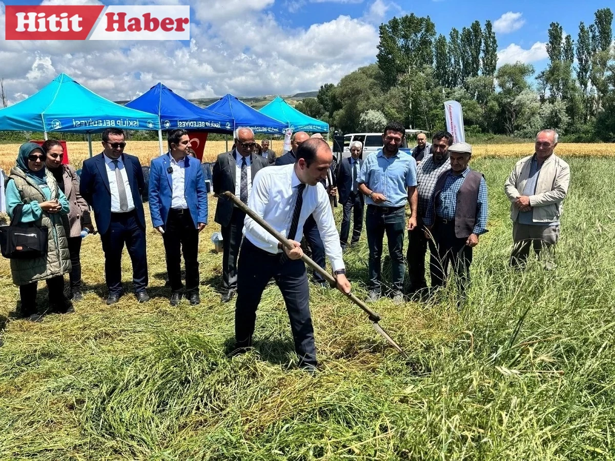 Çorum İskilip'te Tarla Günü Etkinliği: İlçe Müdürlüğü Tarım ve Hayvancılığı Artırmayı Hedefliyor