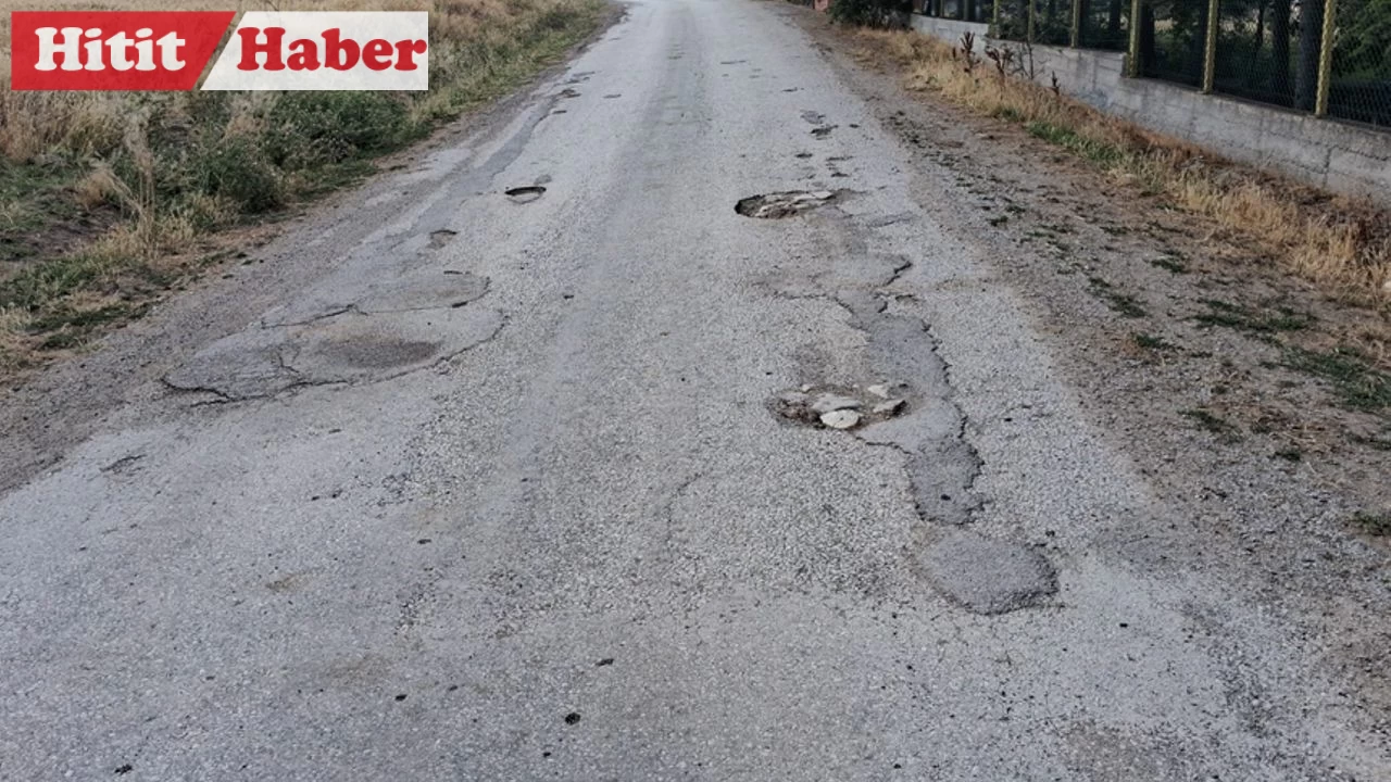 Çalıca Köyü Sakinleri, Yıllardır Onarılmayan Yol İçin Yetkililerden Yardım İstiyor