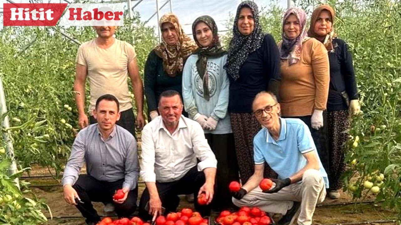 OKA Destekli Serada İlk Hasat Heyacanı!