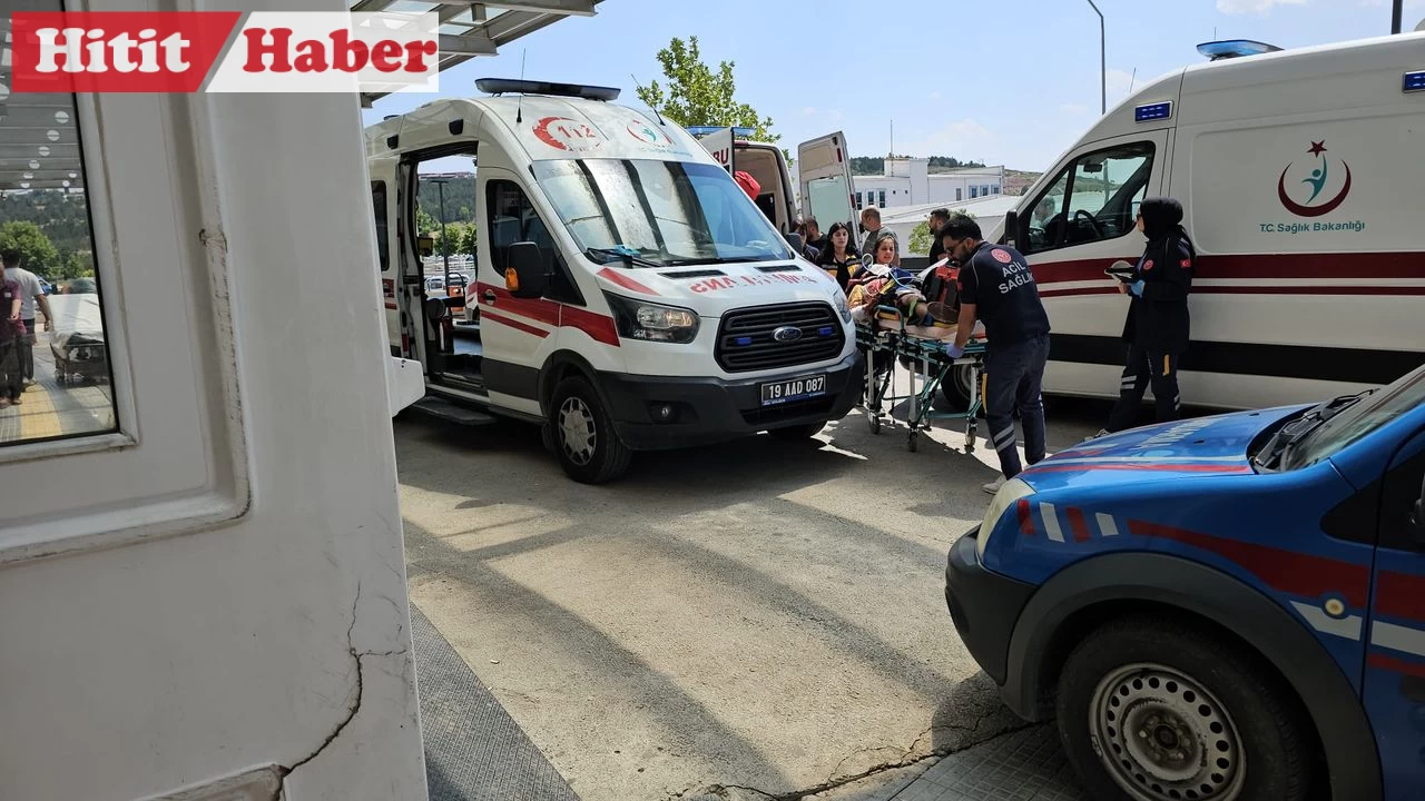 Çorum'da Tır ve Traktör Çarpıştı: Yaralanan Sürücü Hastaneye Kaldırıldı