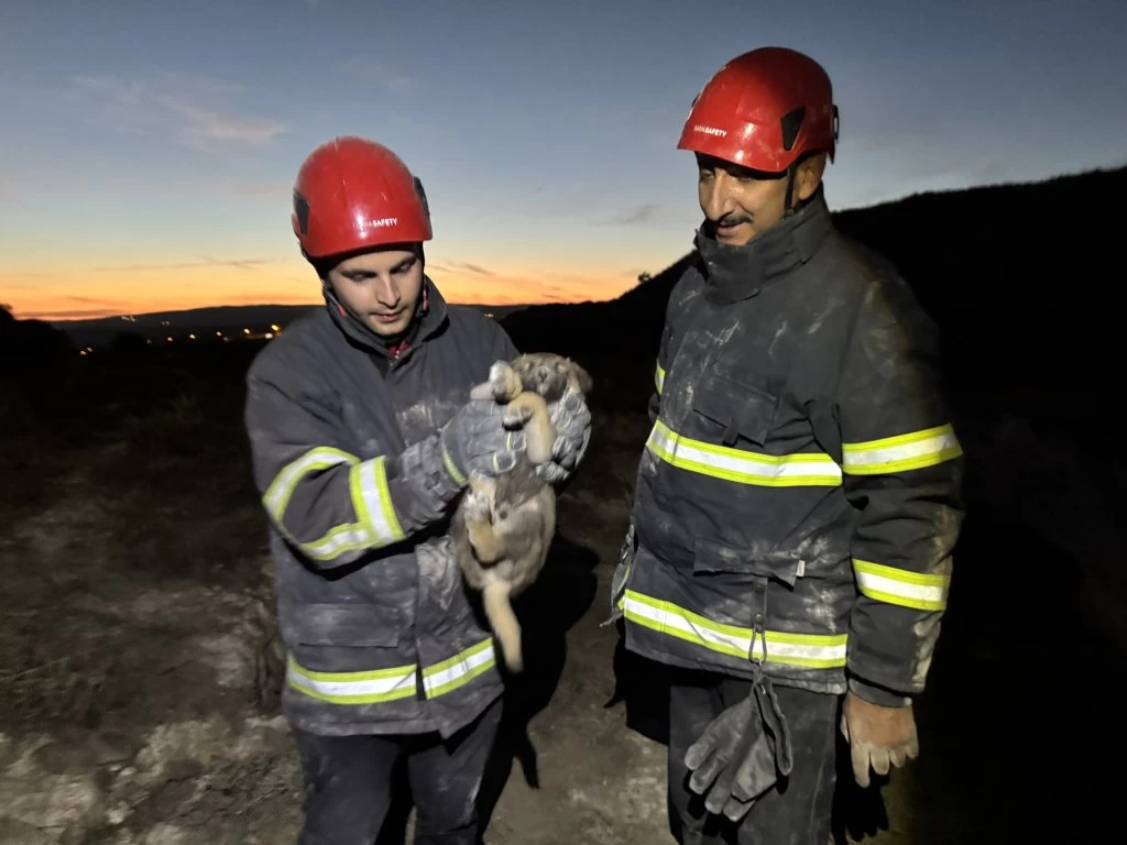 Çorum İtfaiyesi 2 Yavru Köpeği Kurtardı: Toprak Altından Sağ Salim Çıktılar!